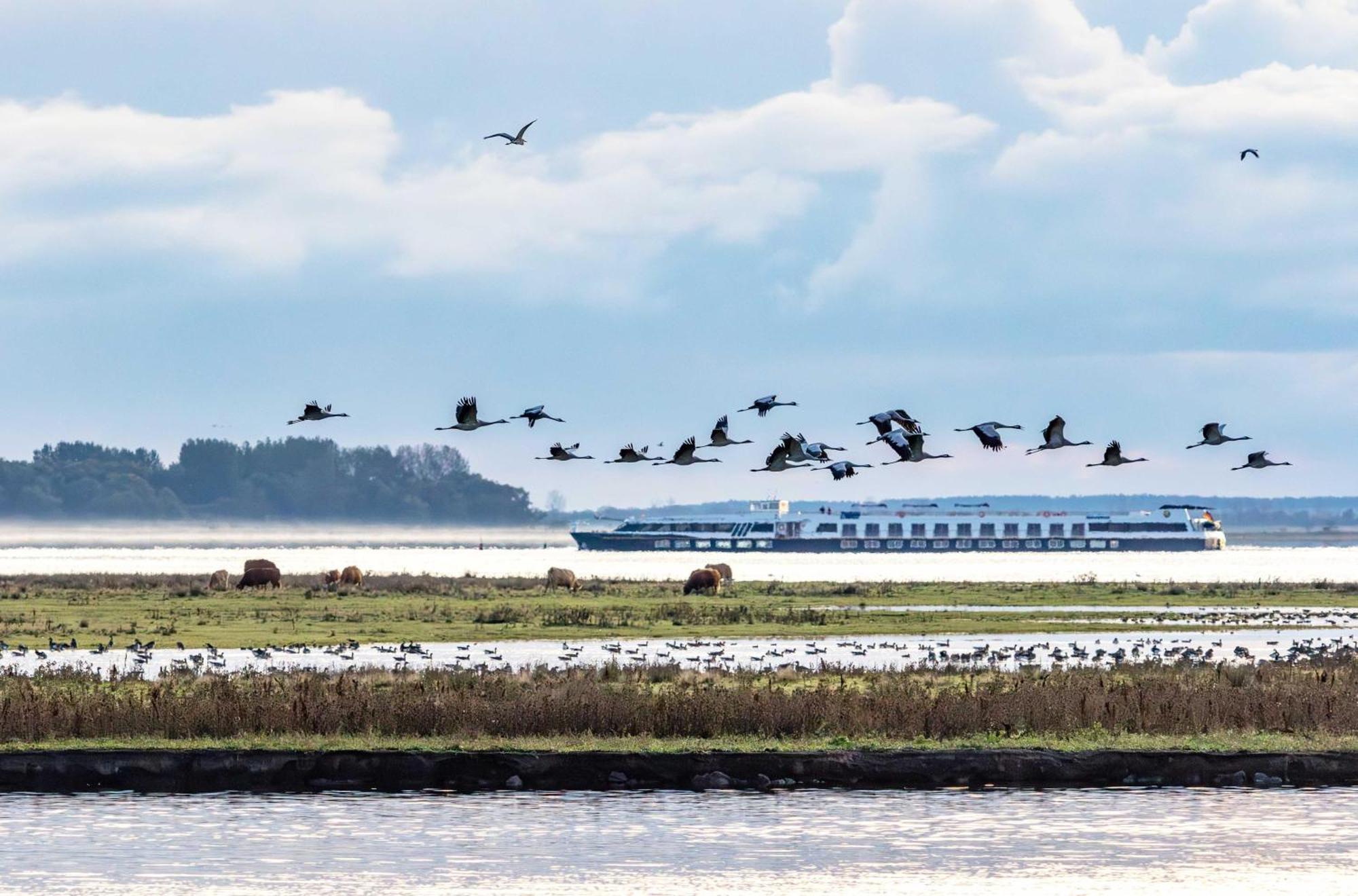 Kleine Freiheit An Der Seebruecke Zingst Esterno foto